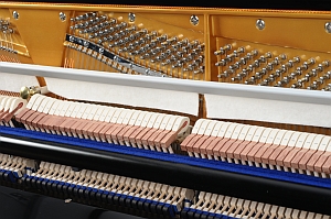 Atjoli piano heeft exclusief Duits blauw vilt